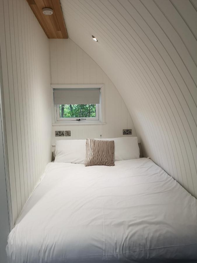 The Pod-Hot Tub-Woodland Lodges-St Clears-Carmarthen Exterior foto