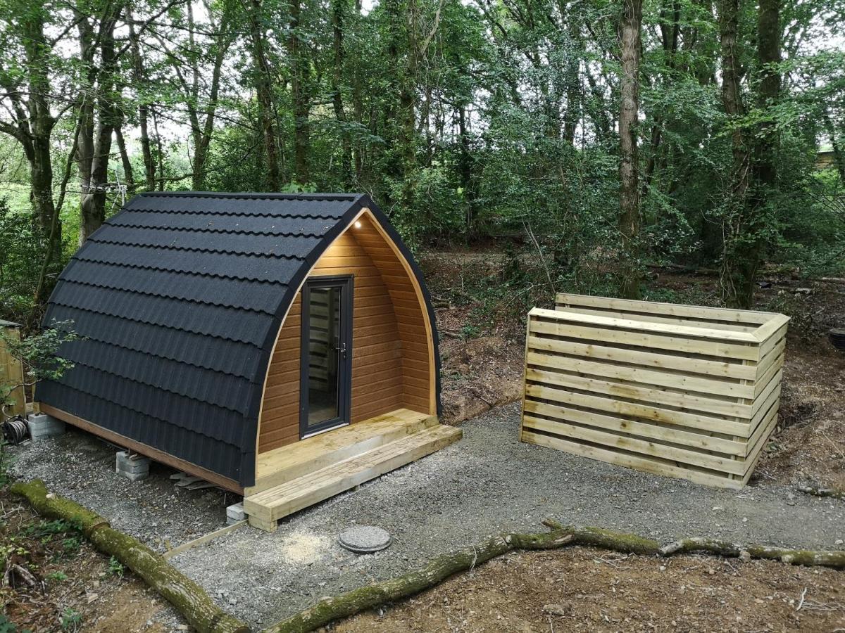 The Pod-Hot Tub-Woodland Lodges-St Clears-Carmarthen Exterior foto